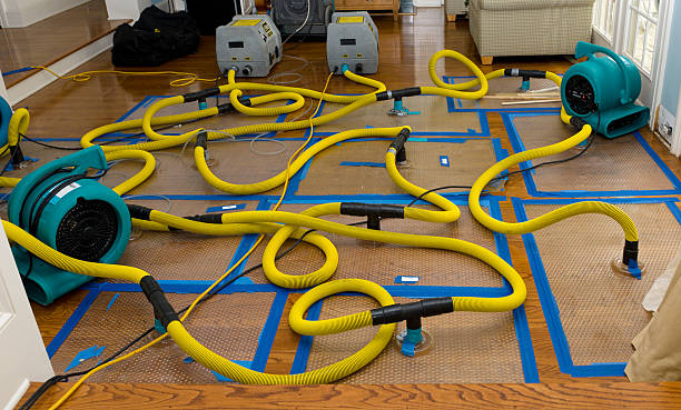 Professional Water Damage Repair technician working in Liberty, WV
